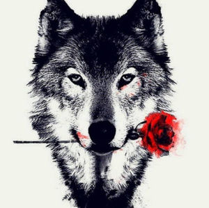 Meet your Posher, Alaina